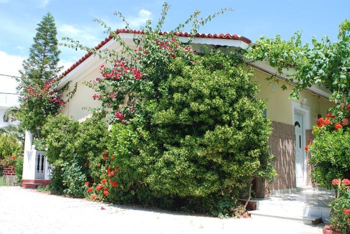 Manao Summer House Tsilivi  Esterno foto